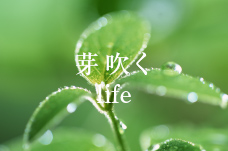 芽吹く life